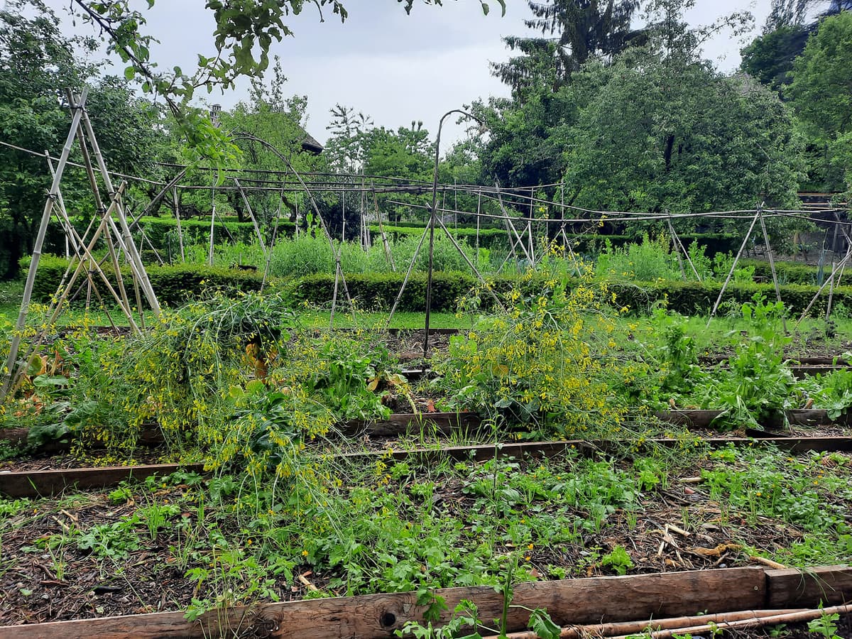 Développer une approche agroécologique en milieu urbain et péri-urbain