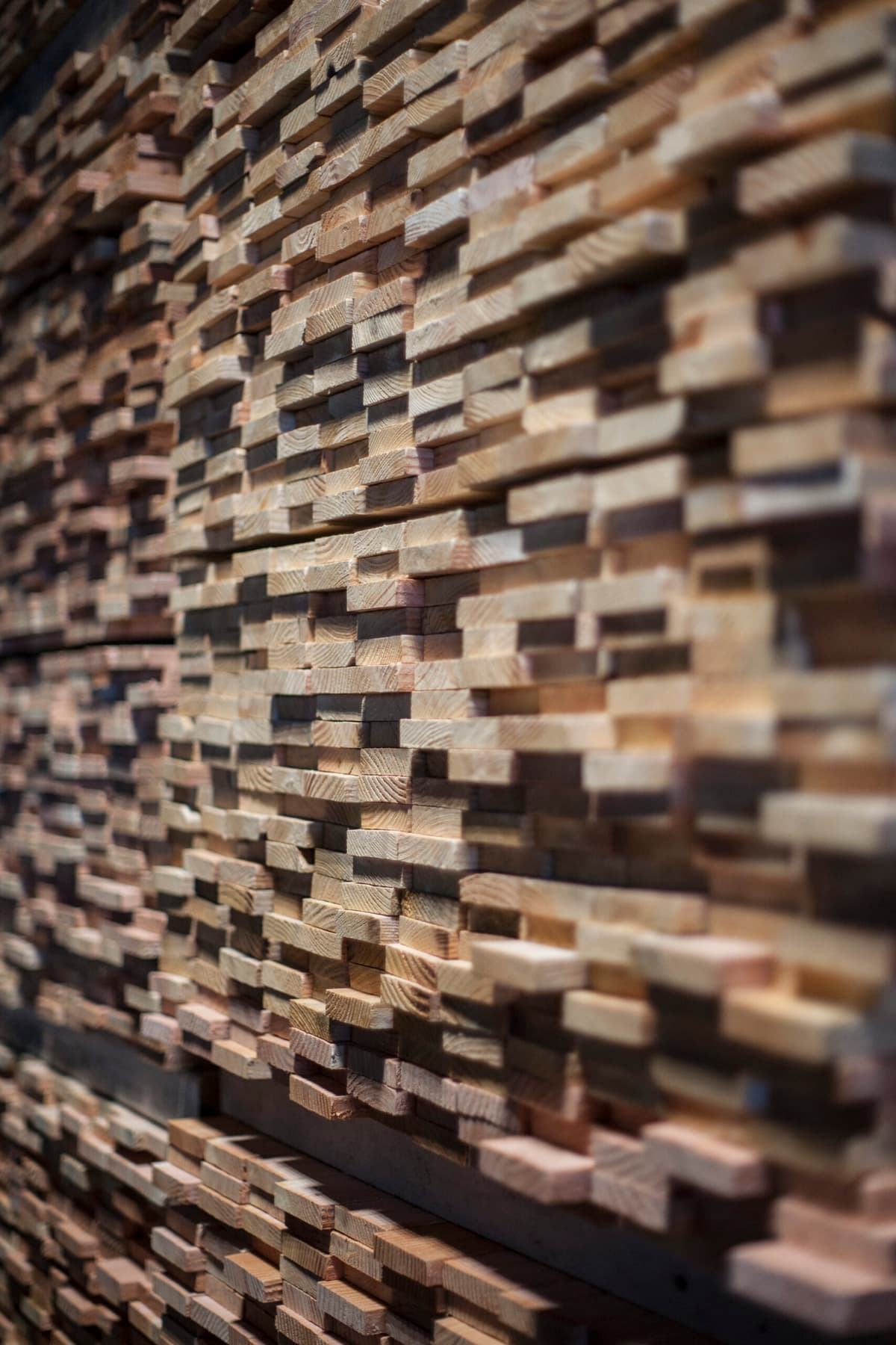 Construire en bois local, faire avec les ressources et les savoir-faire du territoire